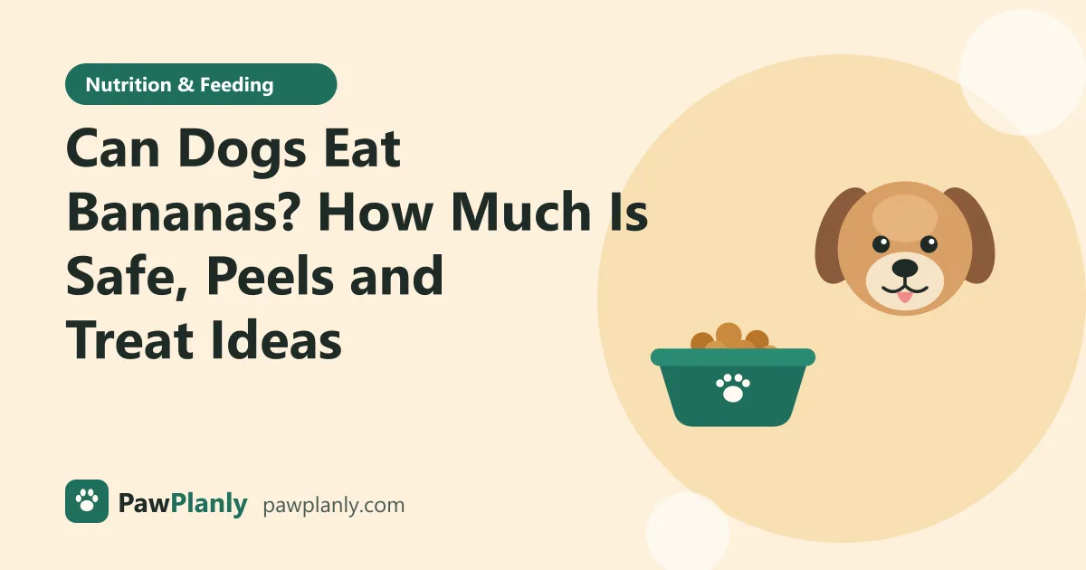Illustration of a cartoon dog next to a bowl of kibble for the PawPlanly guide: Can Dogs Eat Bananas? How Much Is Safe, Peels and Treat Ideas