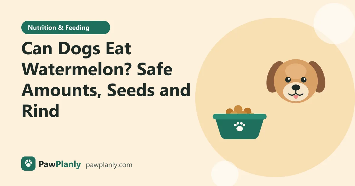 Illustration of a cartoon dog next to a bowl of kibble for the PawPlanly guide: Can Dogs Eat Watermelon? Safe Amounts, Seeds and Rind
