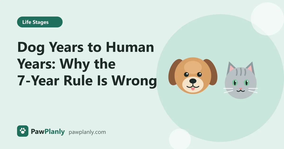 Illustration of a cartoon dog and cat side by side for the PawPlanly guide: Dog Years to Human Years: Why the 7-Year Rule Is Wrong