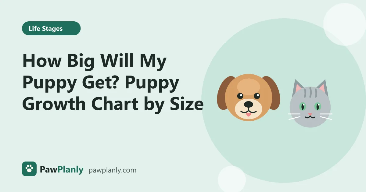 Illustration of a cartoon dog and cat side by side for the PawPlanly guide: How Big Will My Puppy Get? Puppy Growth Chart by Size