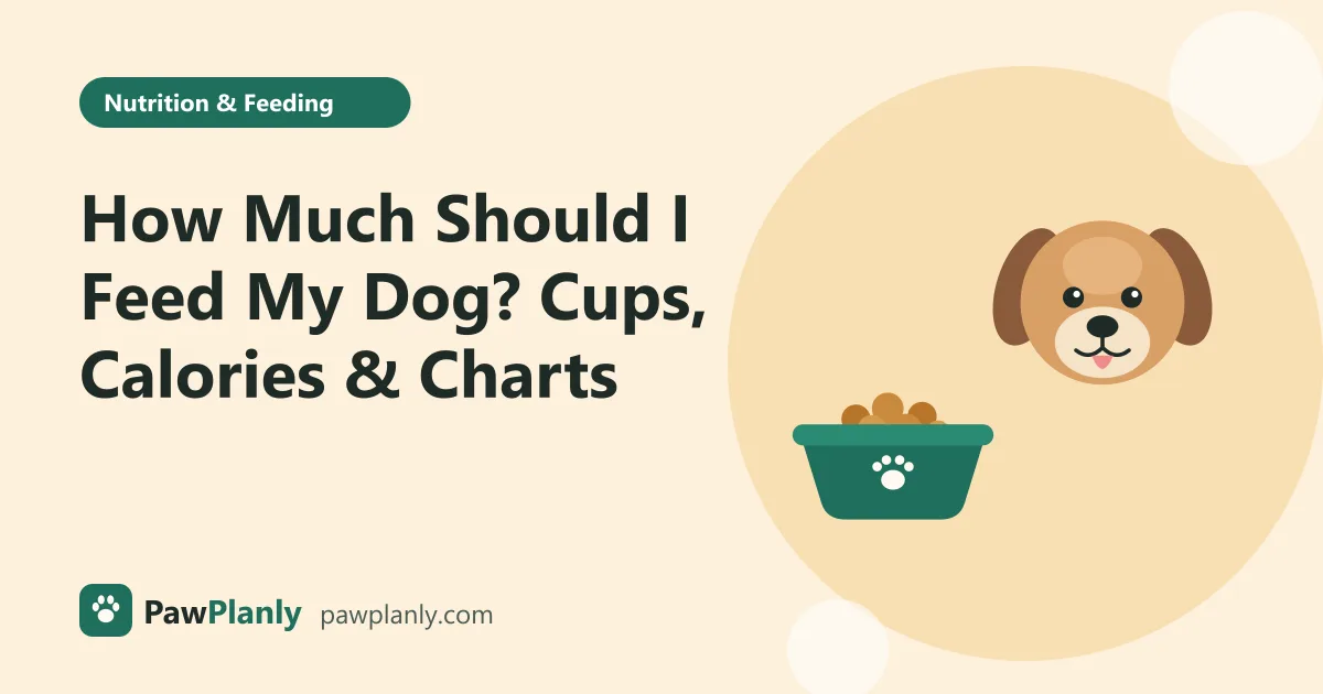 Illustration of a cartoon dog next to a bowl of kibble for the PawPlanly guide: How Much Should I Feed My Dog? Cups, Calories & Charts
