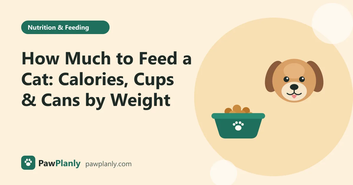Illustration of a cartoon dog next to a bowl of kibble for the PawPlanly guide: How Much to Feed a Cat: Calories, Cups & Cans by Weight